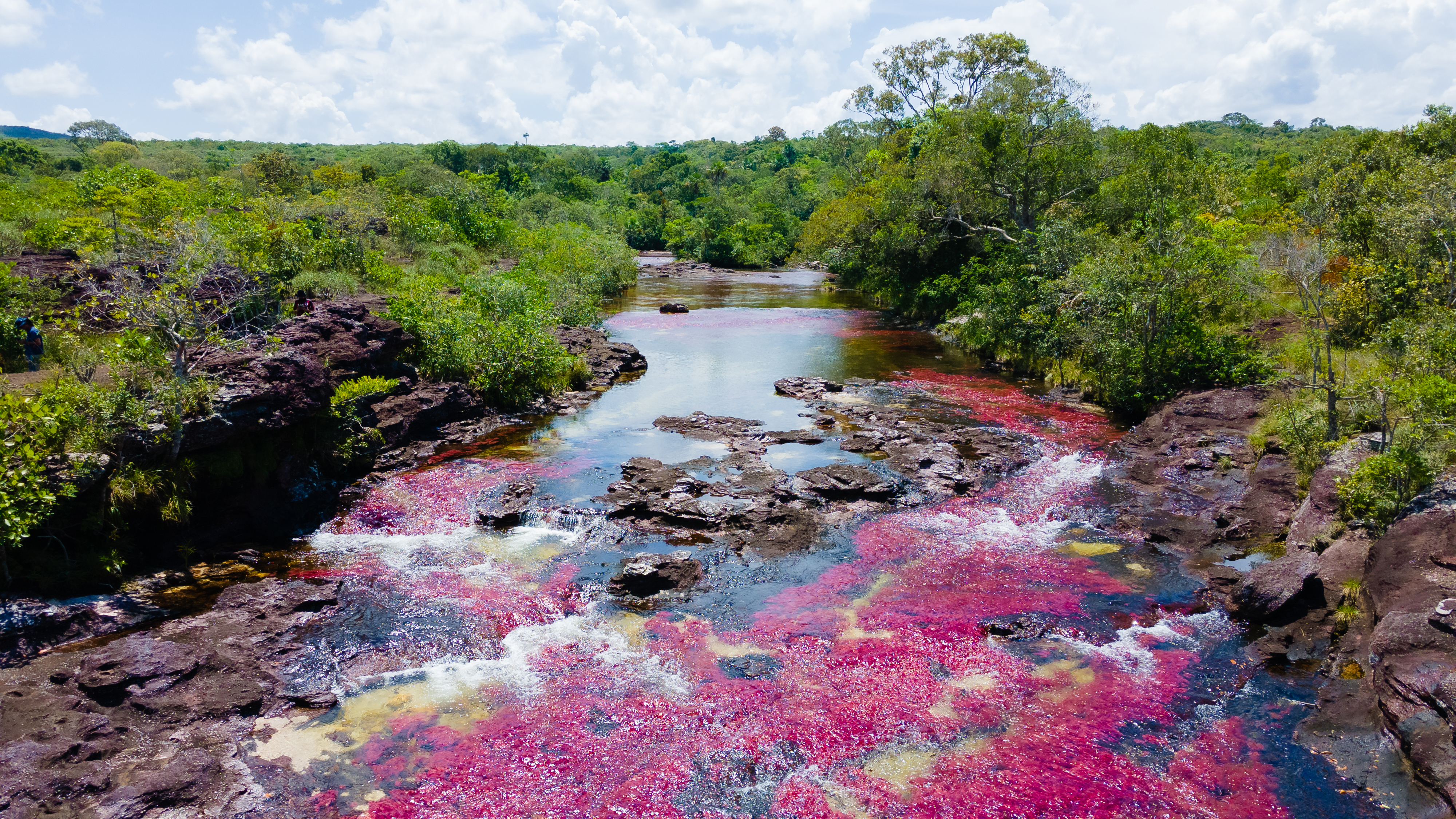 Caño Cristales: The Rainbow River Most Travelers Don’t Know